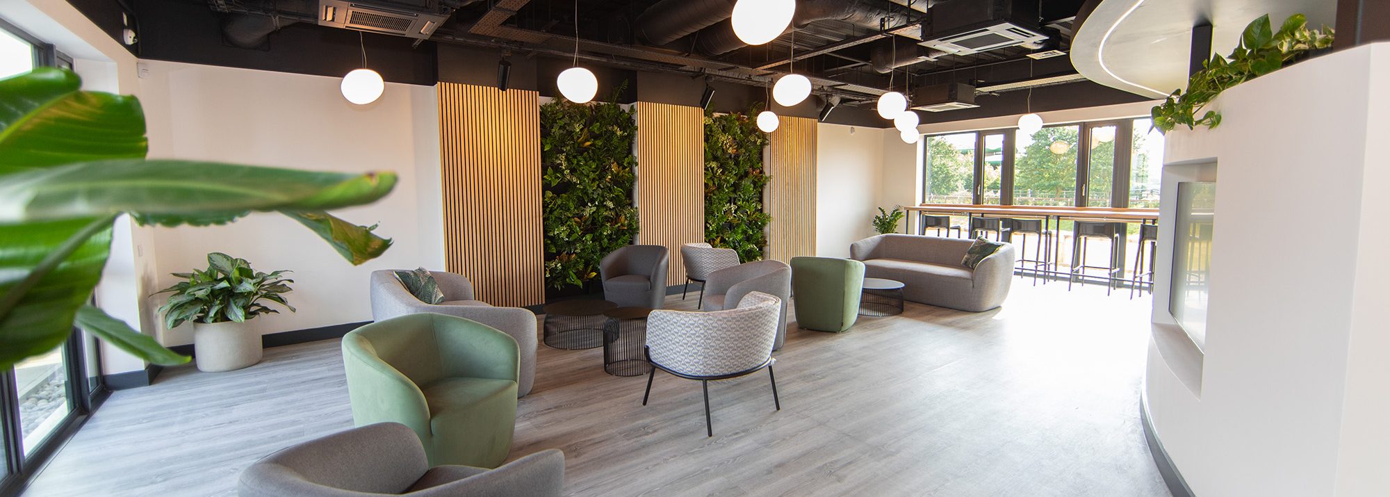 Enhance Dental in Ely